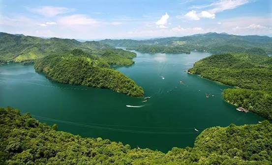 image018.jpg image018.jpg