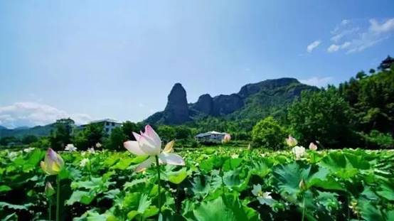 image020.jpg image020.jpg