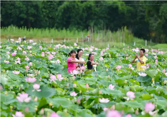 image009.png image009.png