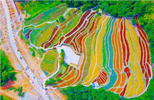 image010.png image010.png