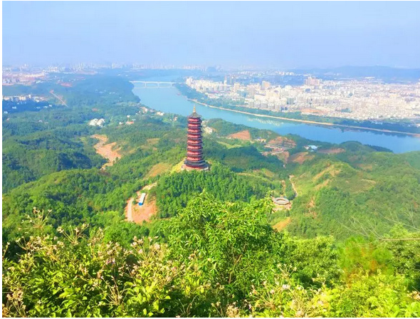 image012.png image012.png